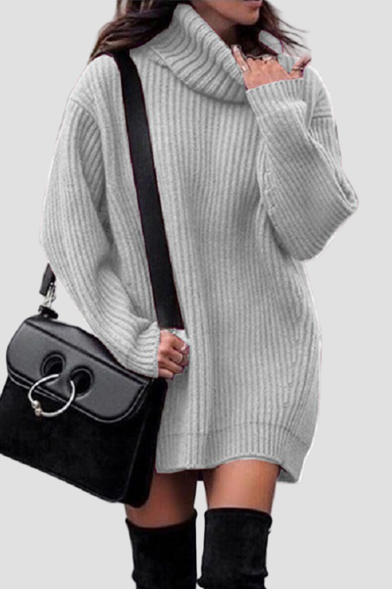 Women’s Turtleneck Long Sleeve Knit Mini Dress