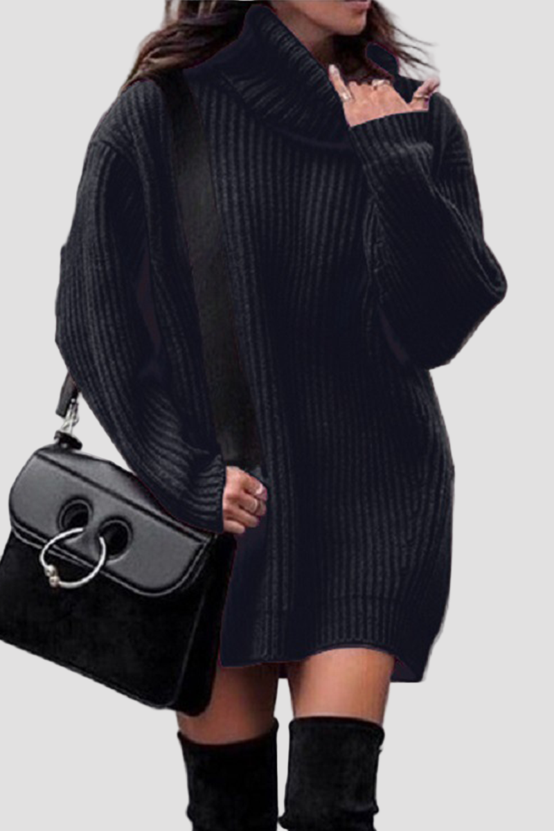 Women’s Turtleneck Long Sleeve Knit Mini Dress