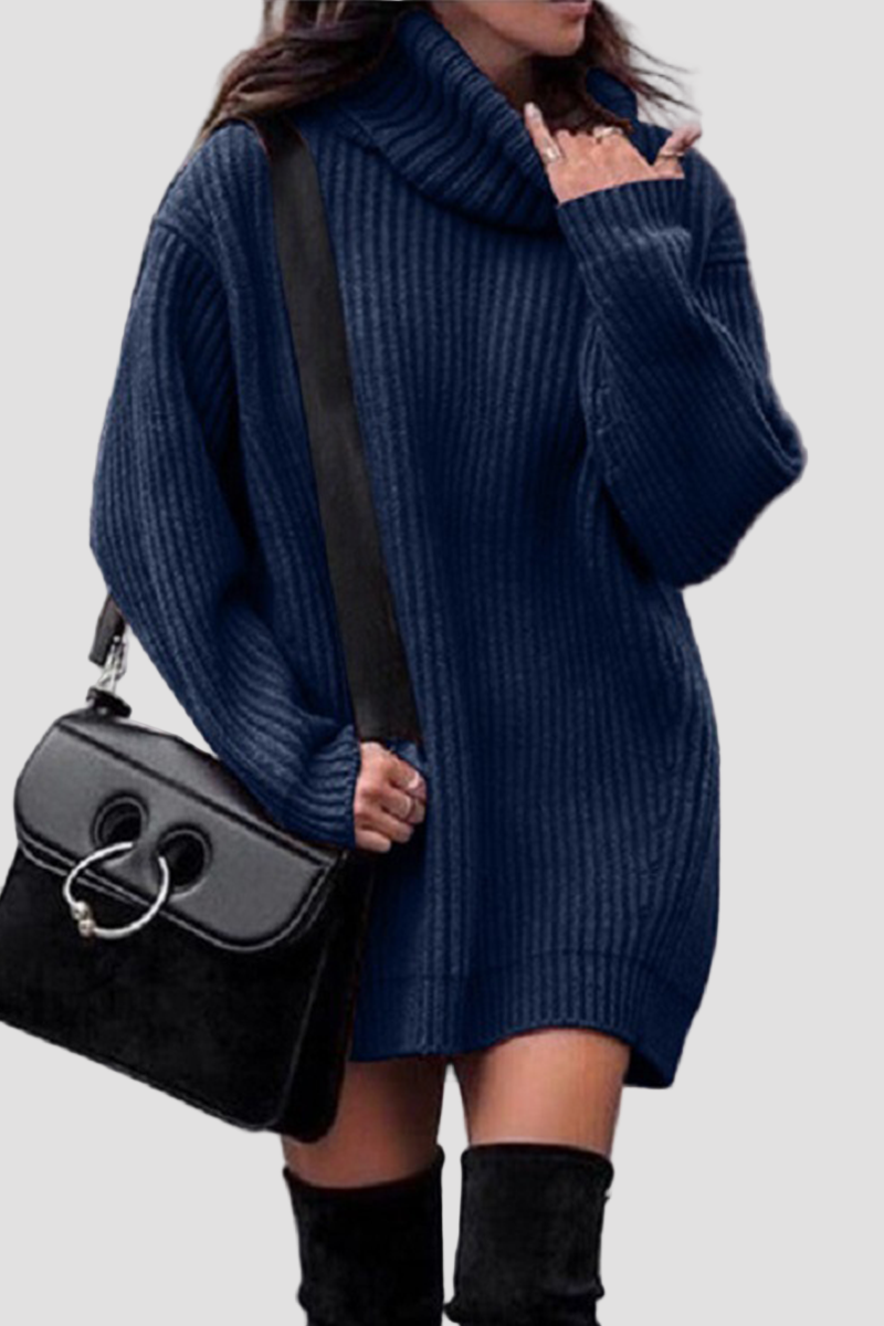 Women’s Turtleneck Long Sleeve Knit Mini Dress