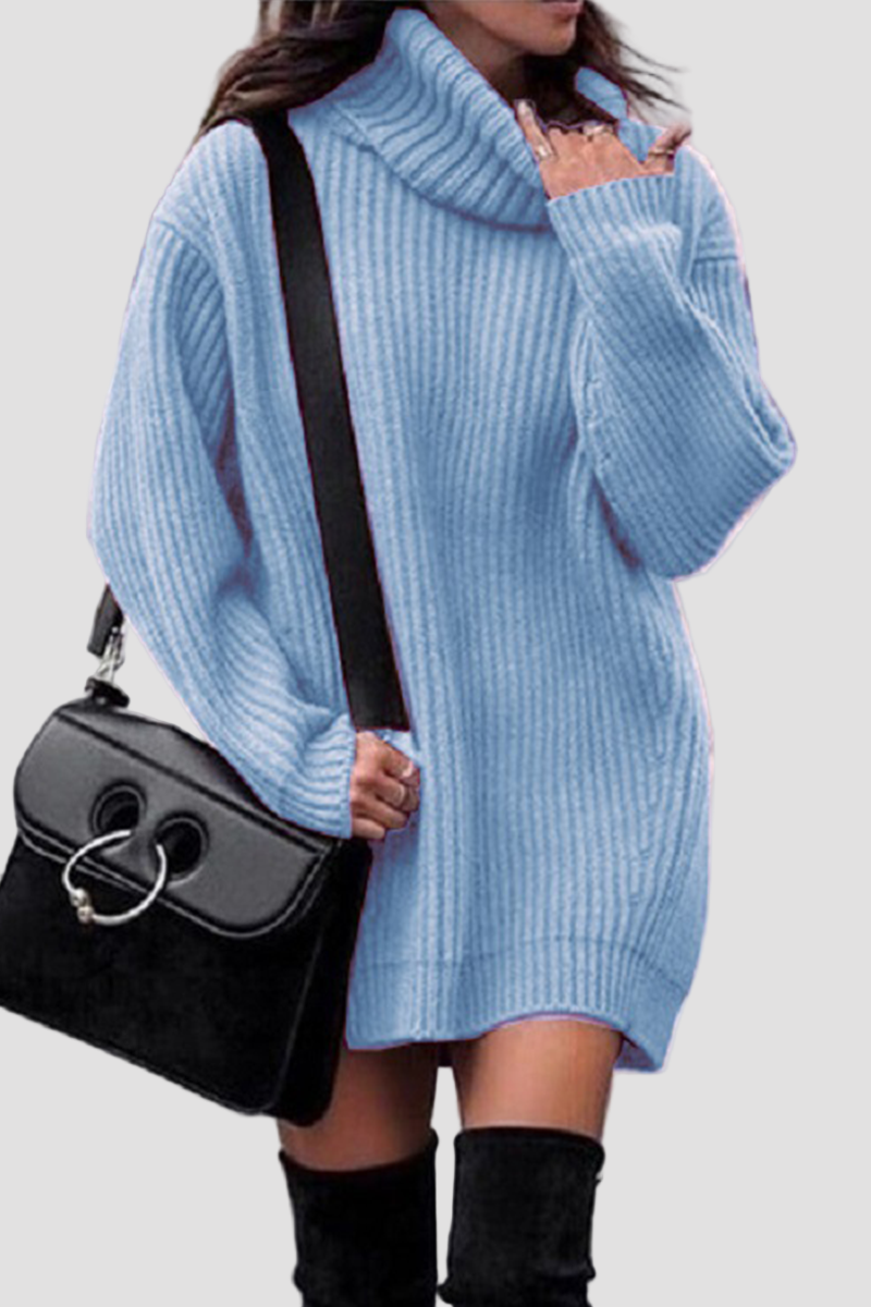 Women’s Turtleneck Long Sleeve Knit Mini Dress