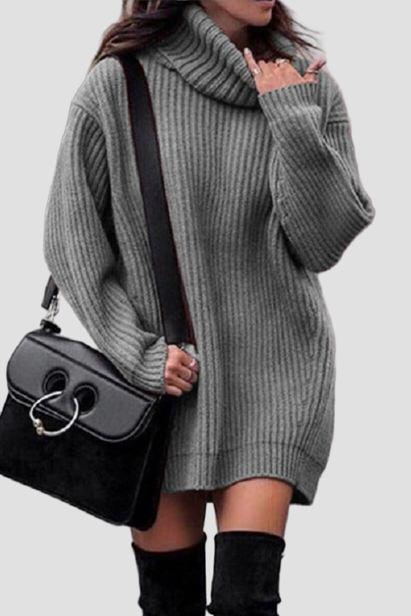 Women’s Turtleneck Long Sleeve Knit Mini Dress