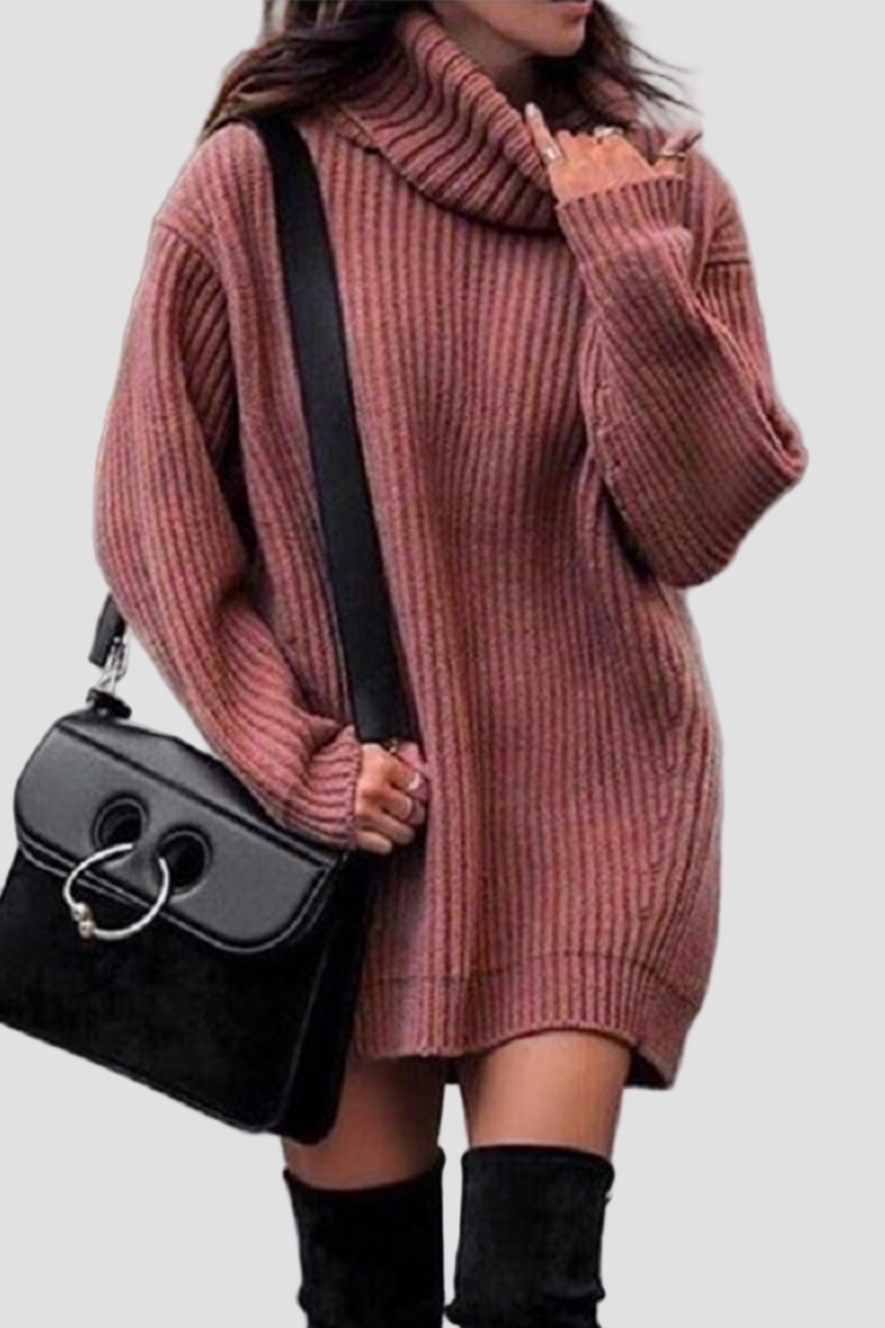 Women’s Turtleneck Long Sleeve Knit Mini Dress