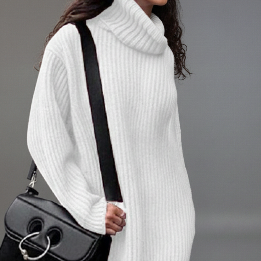 Women’s Turtleneck Long Sleeve Knit Mini Dress