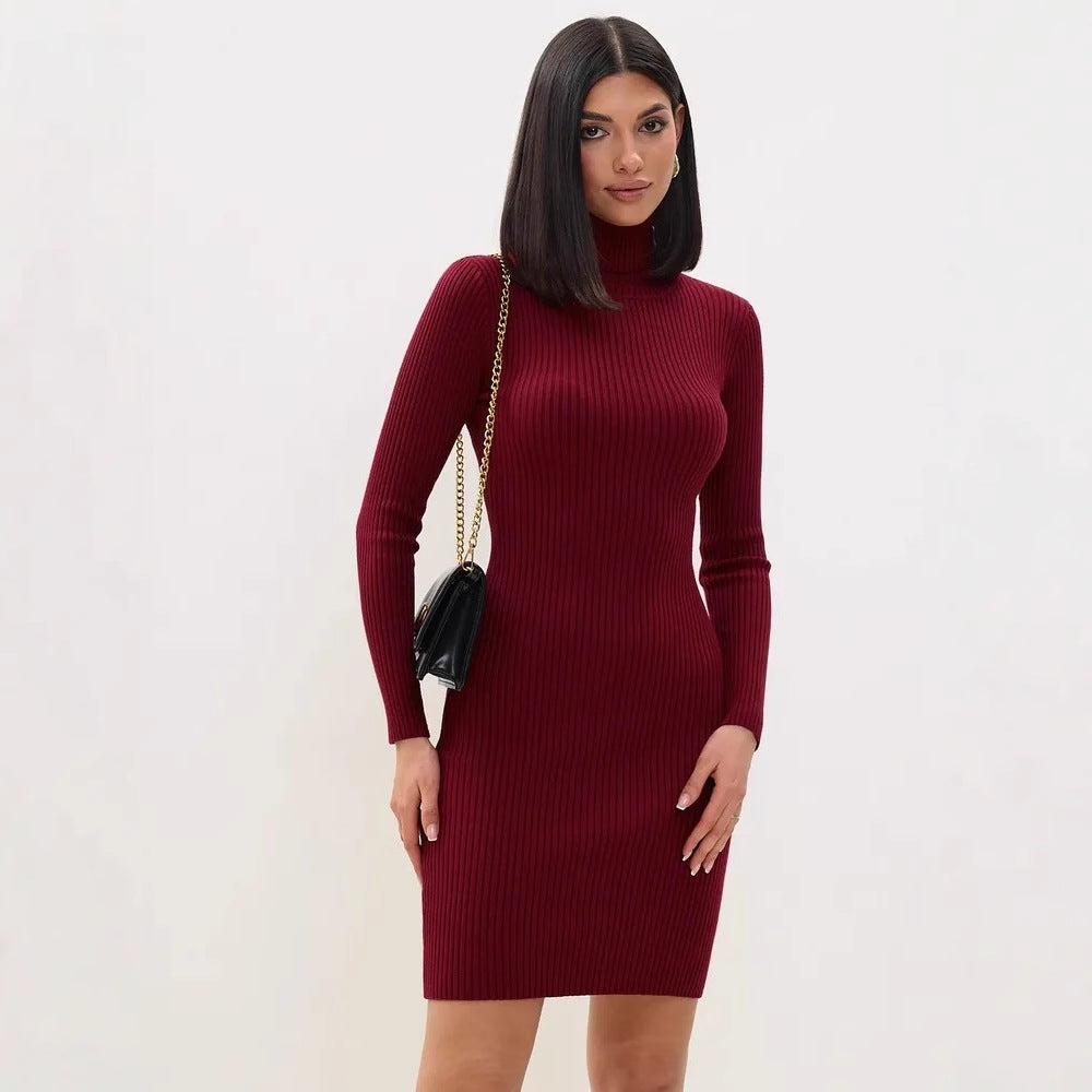 Women’s Ribbed Knit Turtleneck Slim Mini Dress